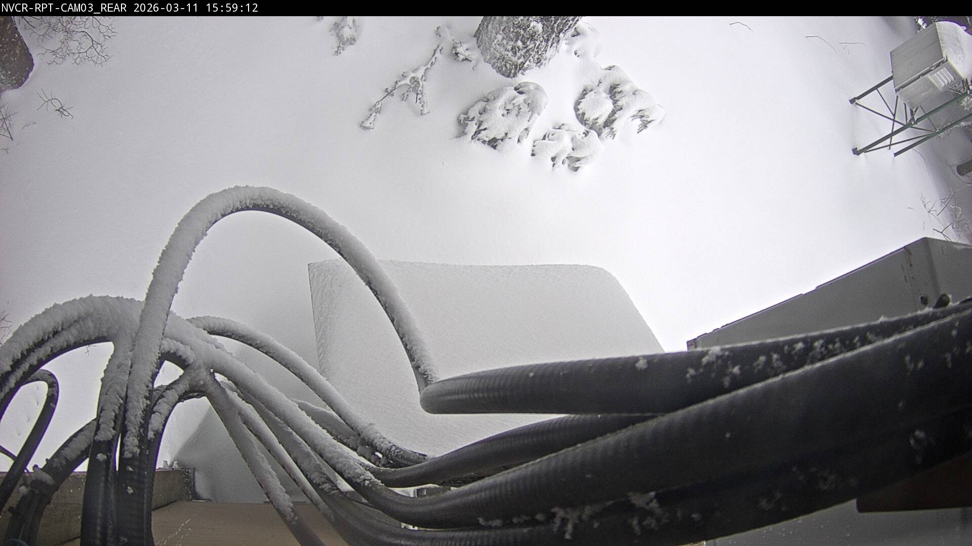 Web Cam History Image - 695