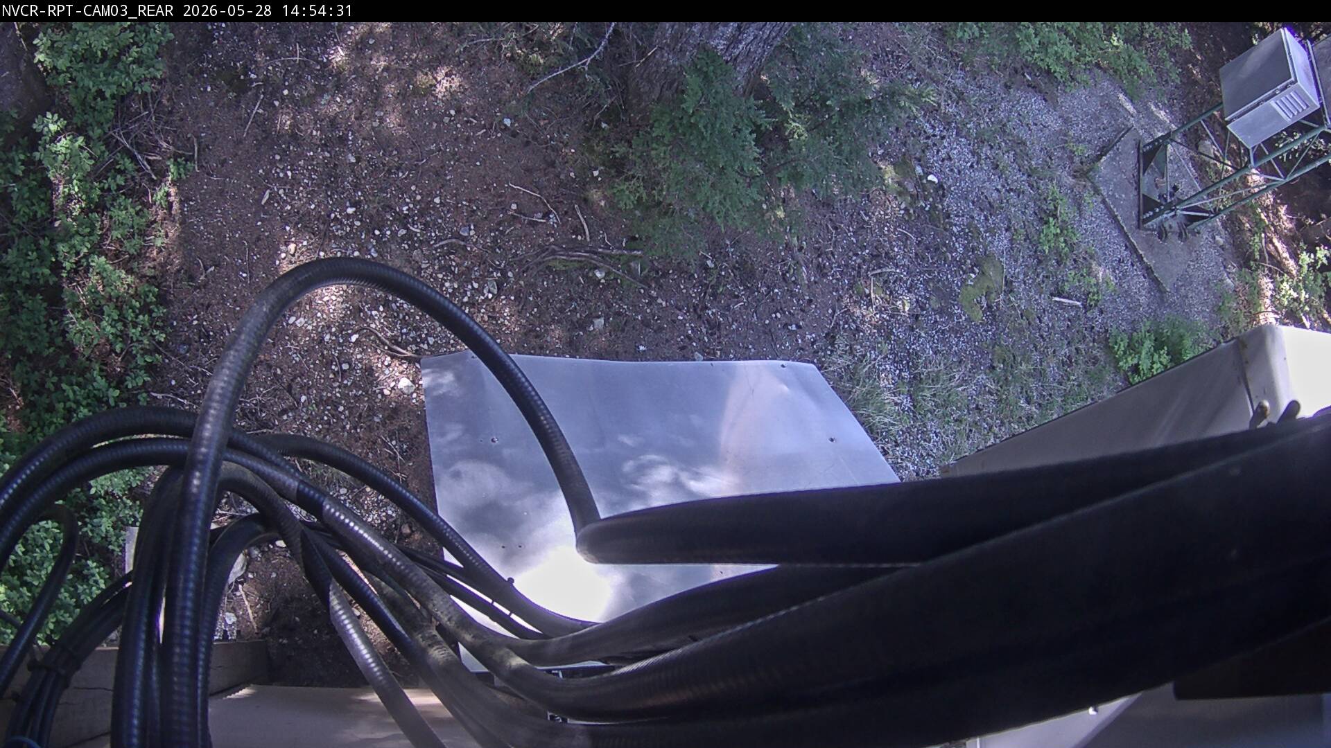Web Cam History Image - 695