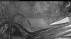 Web Cam Image - Thu, 07/30/2026 4:44am PDT