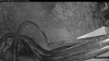 Web Cam Image - Sat, 08/22/2026 7:14pm PDT
