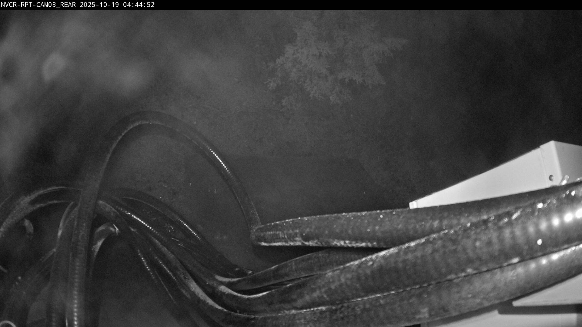 Web Cam History Image - 696