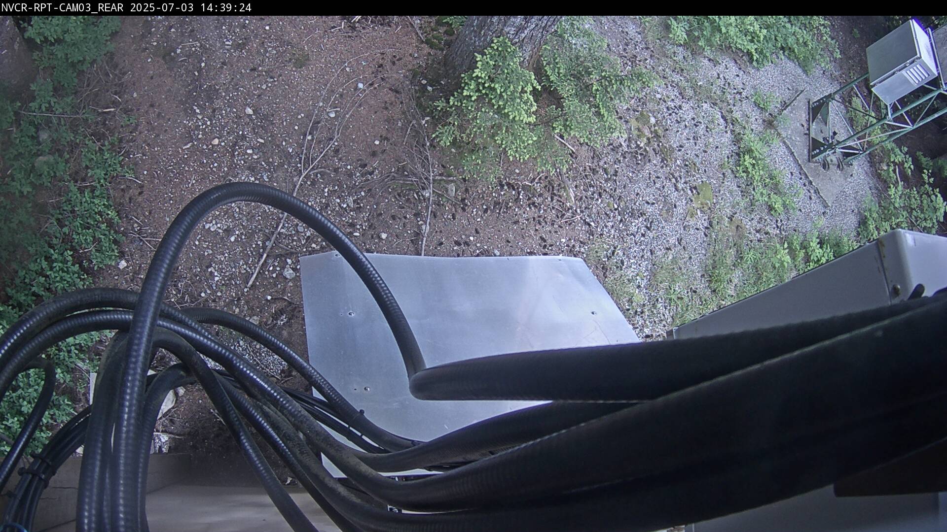 Web Cam History Image - 697