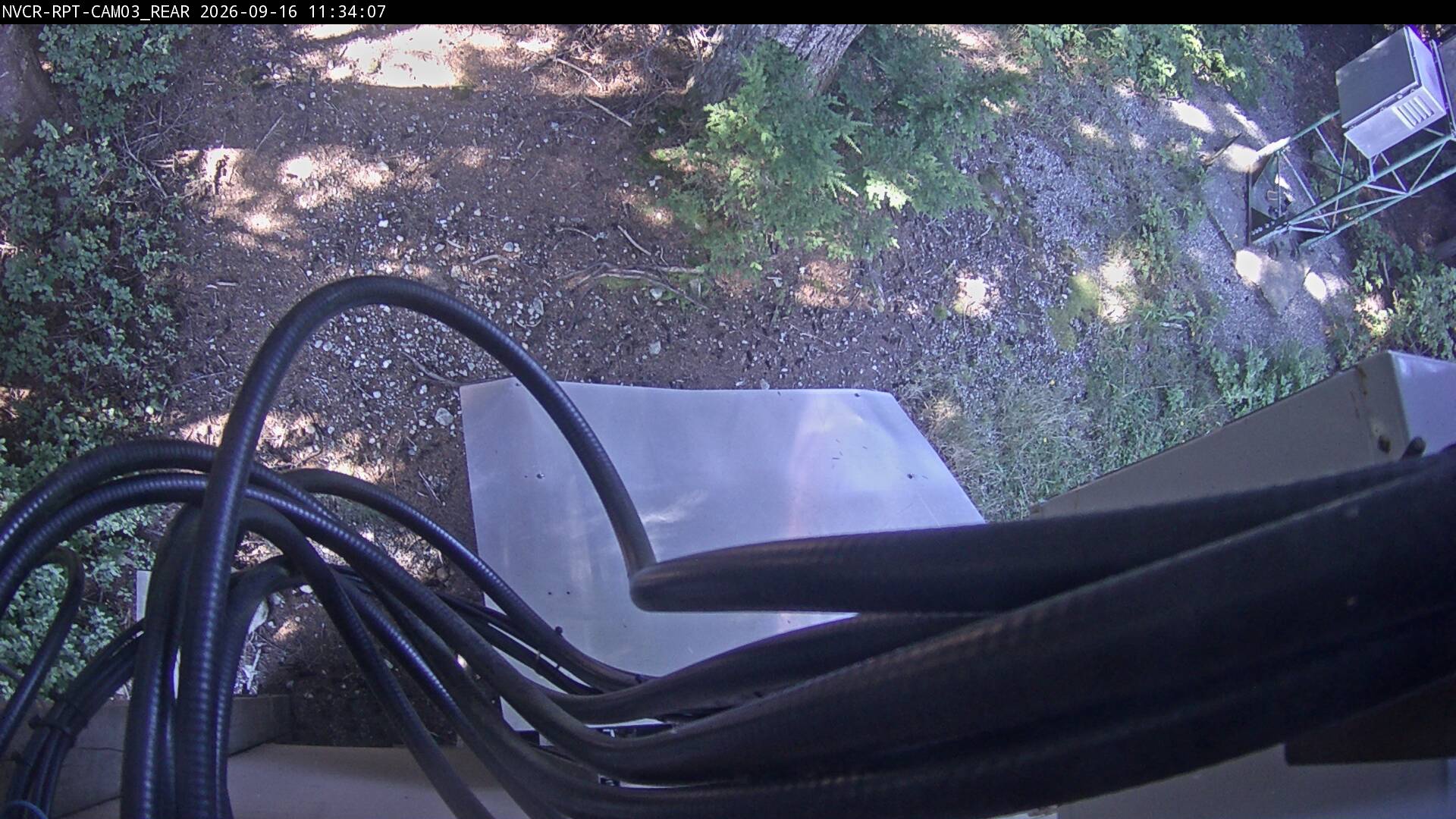 Web Cam History Image - 697