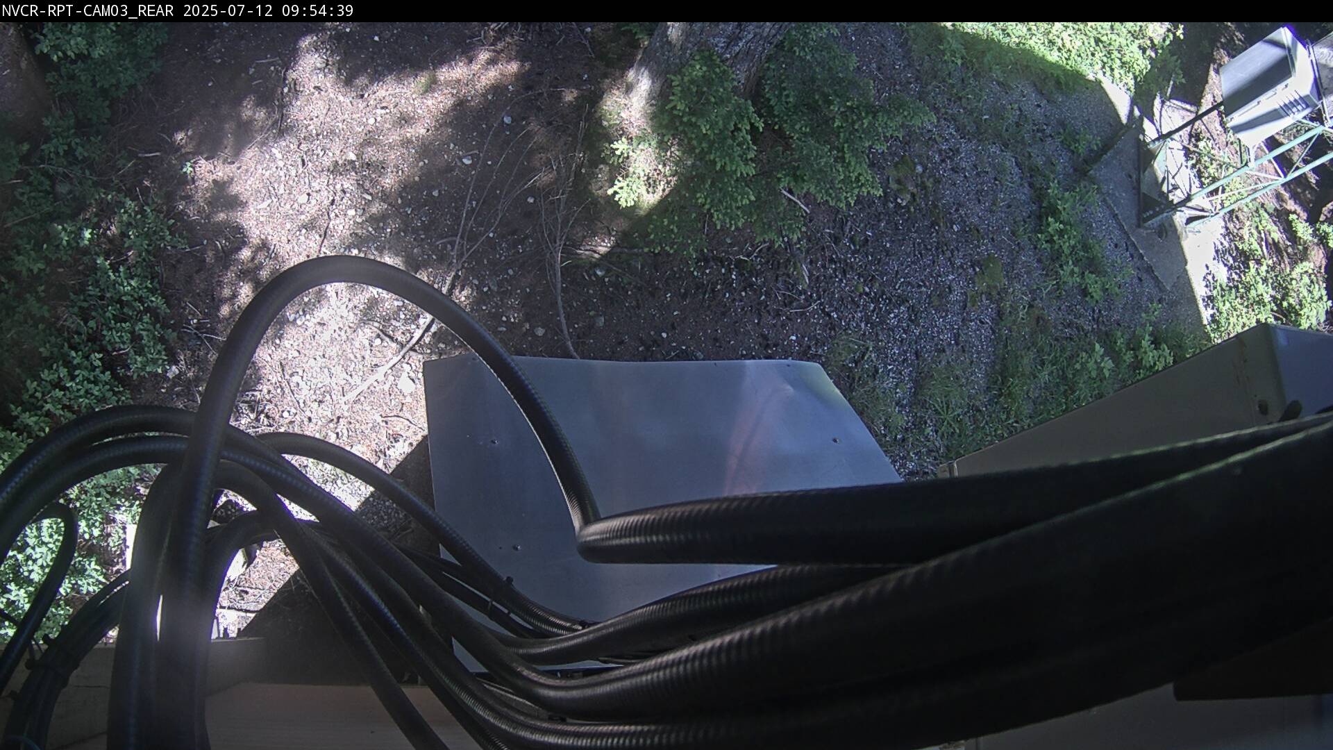 Web Cam History Image - 698