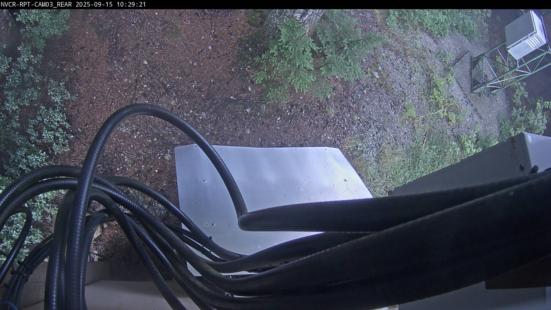 Web Cam History Image - 698