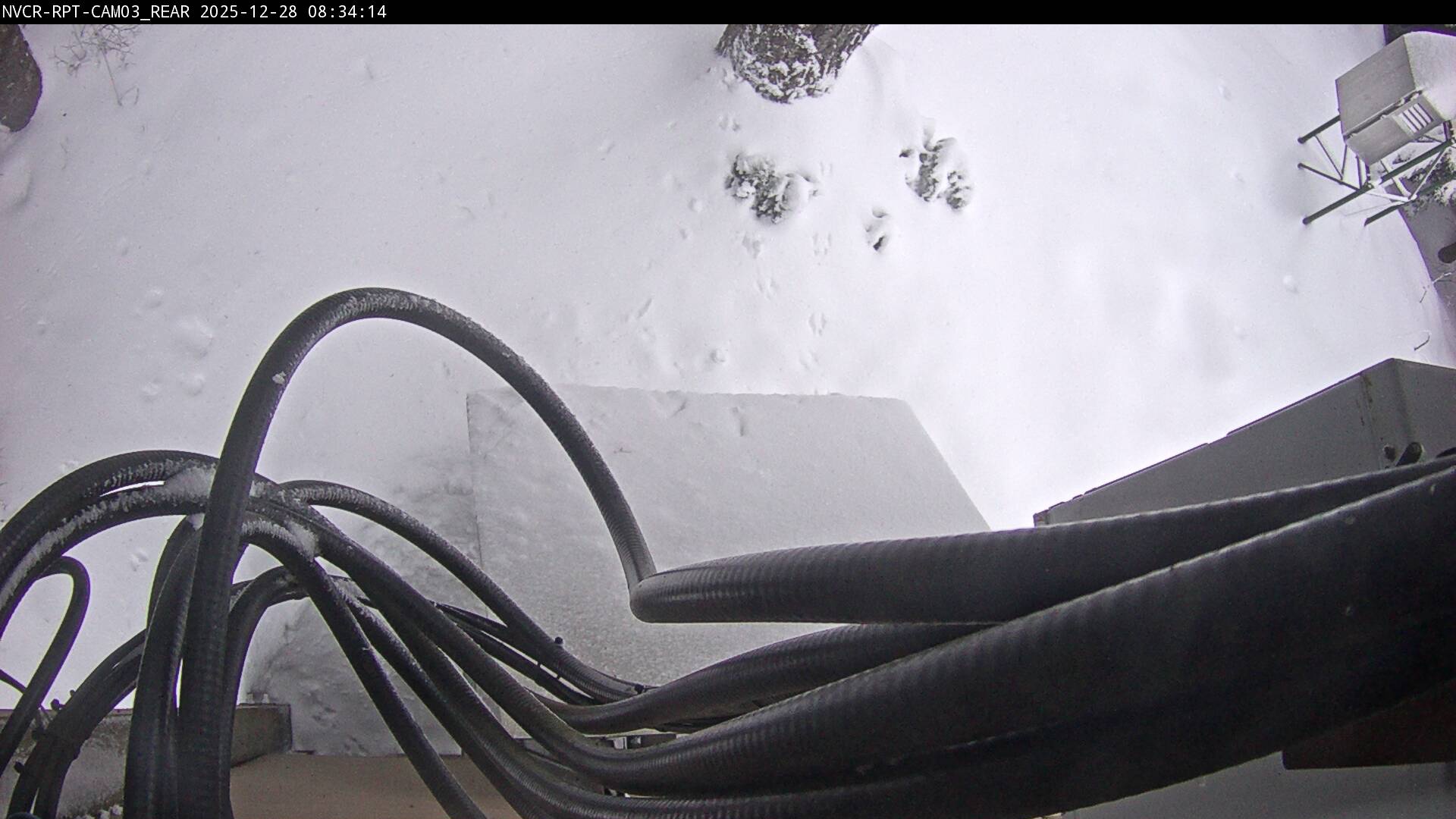 Web Cam History Image - 698