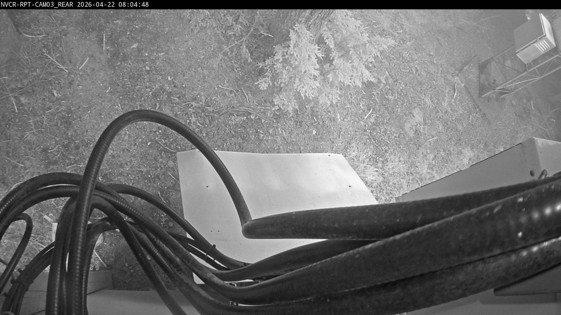 Web Cam History Image - 699