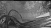 Web Cam Image - Fri, 08/14/2026 5:09am PDT