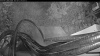 Web Cam Image - Sat, 08/22/2026 5:14am PDT
