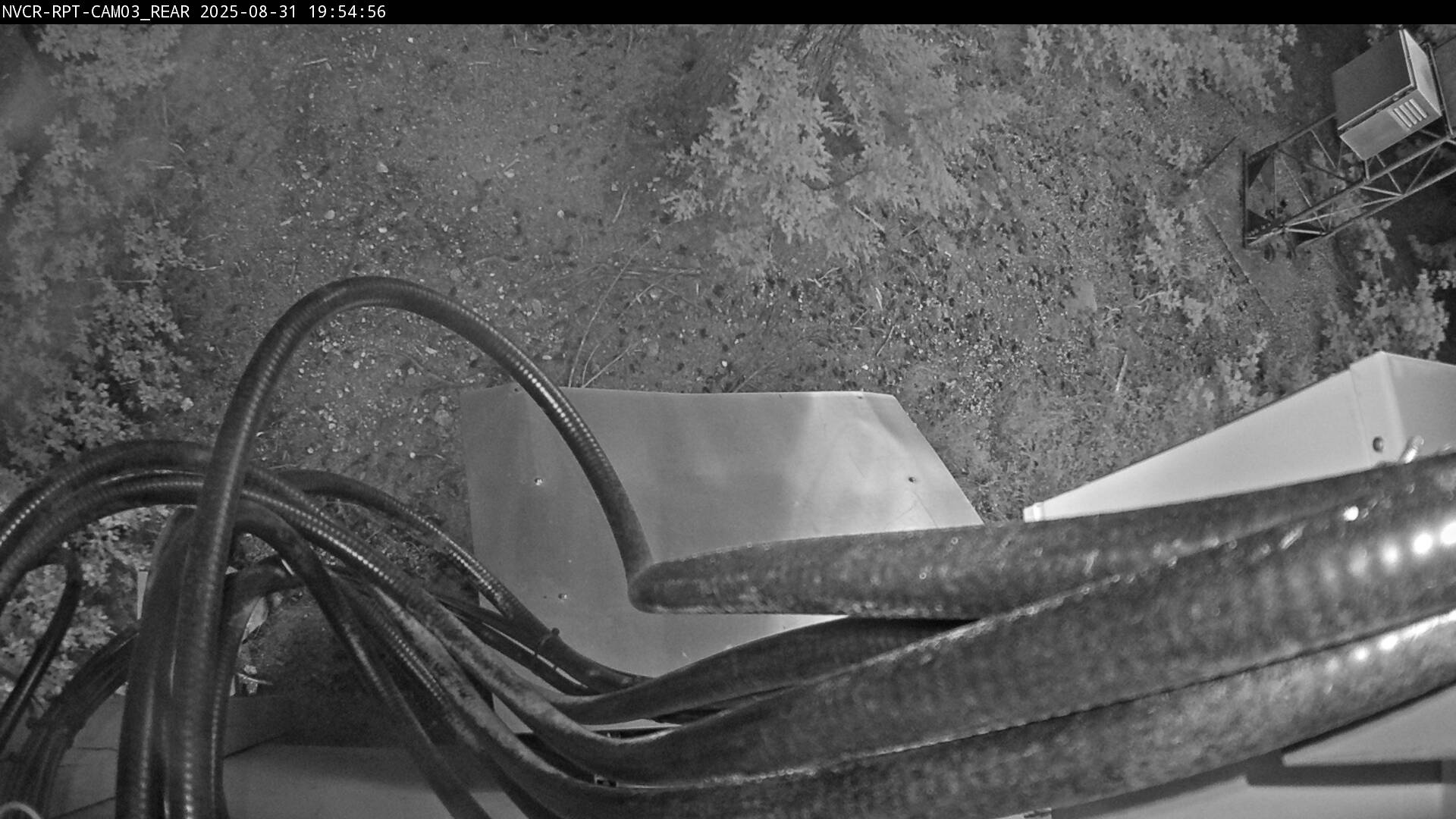 Web Cam History Image - 8