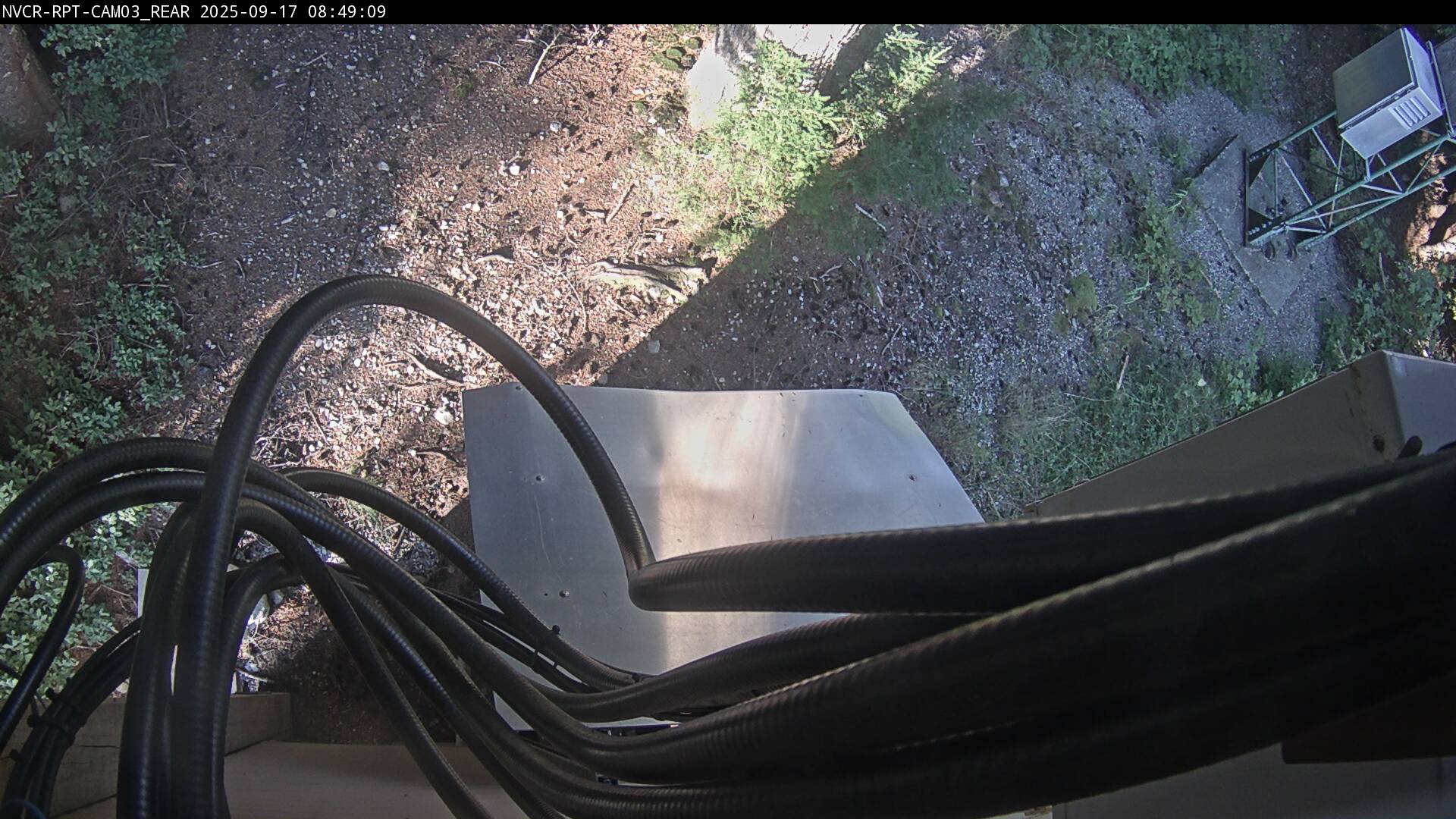 Web Cam History Image - 8