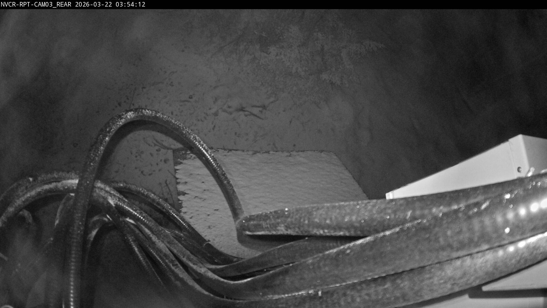 Web Cam History Image - 8