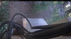 Web Cam Image - Thu, 08/20/2026 5:44am PDT