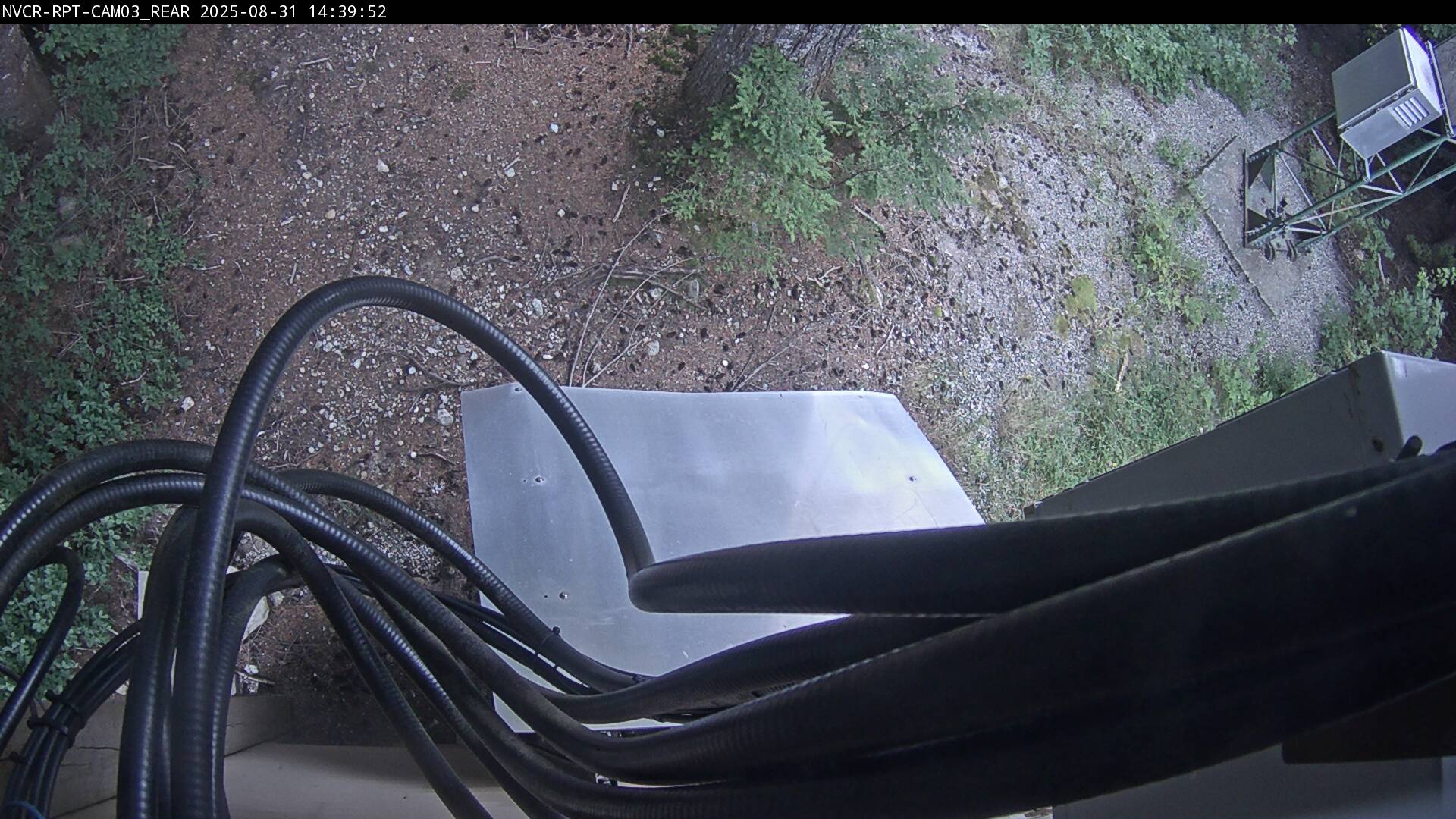 Web Cam History Image - 71
