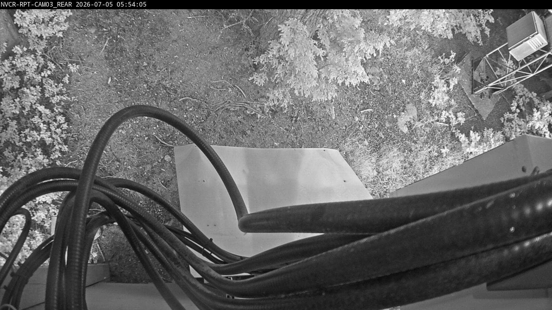 Web Cam History Image - 71