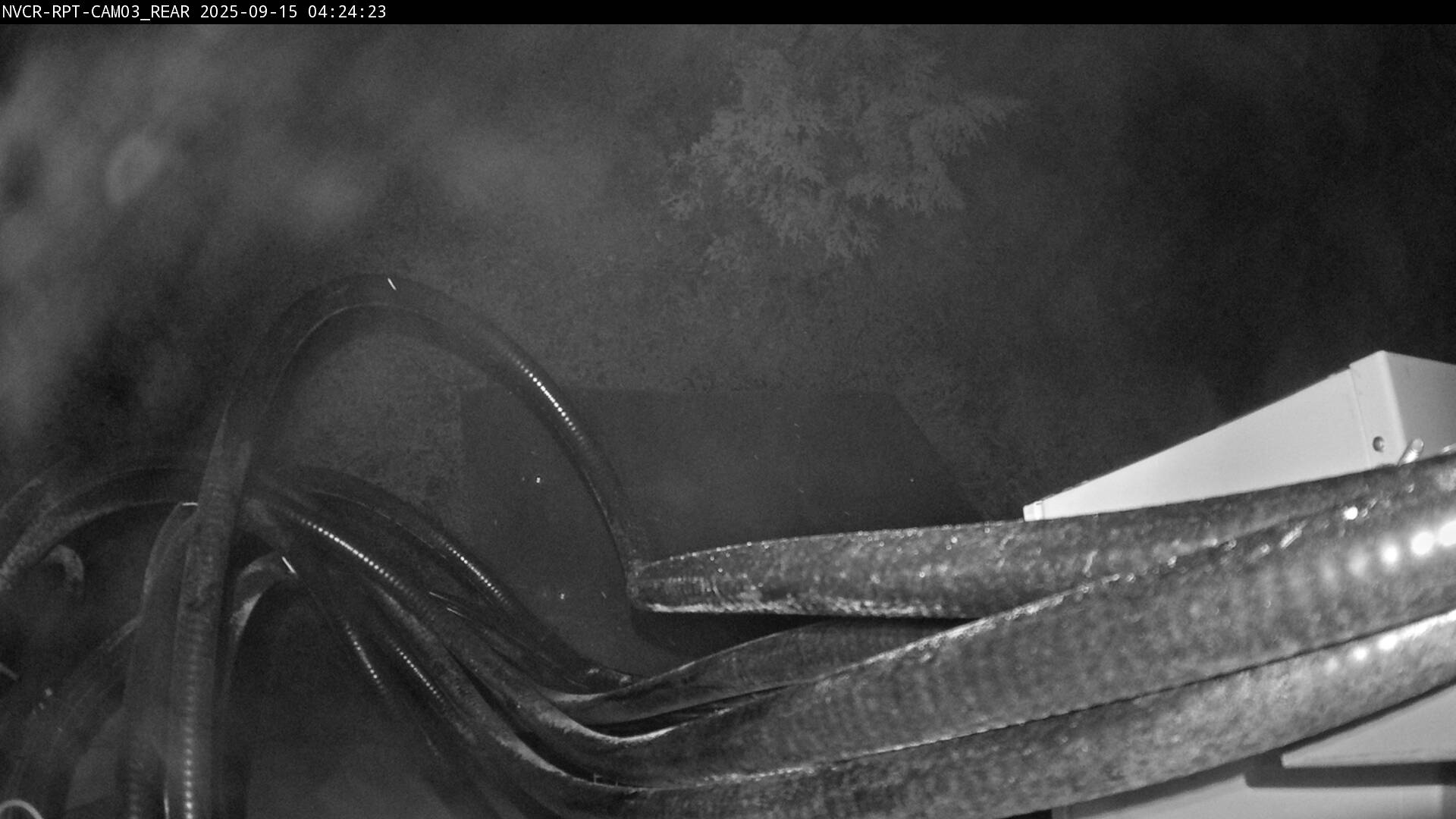 Web Cam History Image - 701