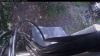 Web Cam Image - Mon, 06/01/2026 1:14pm PDT