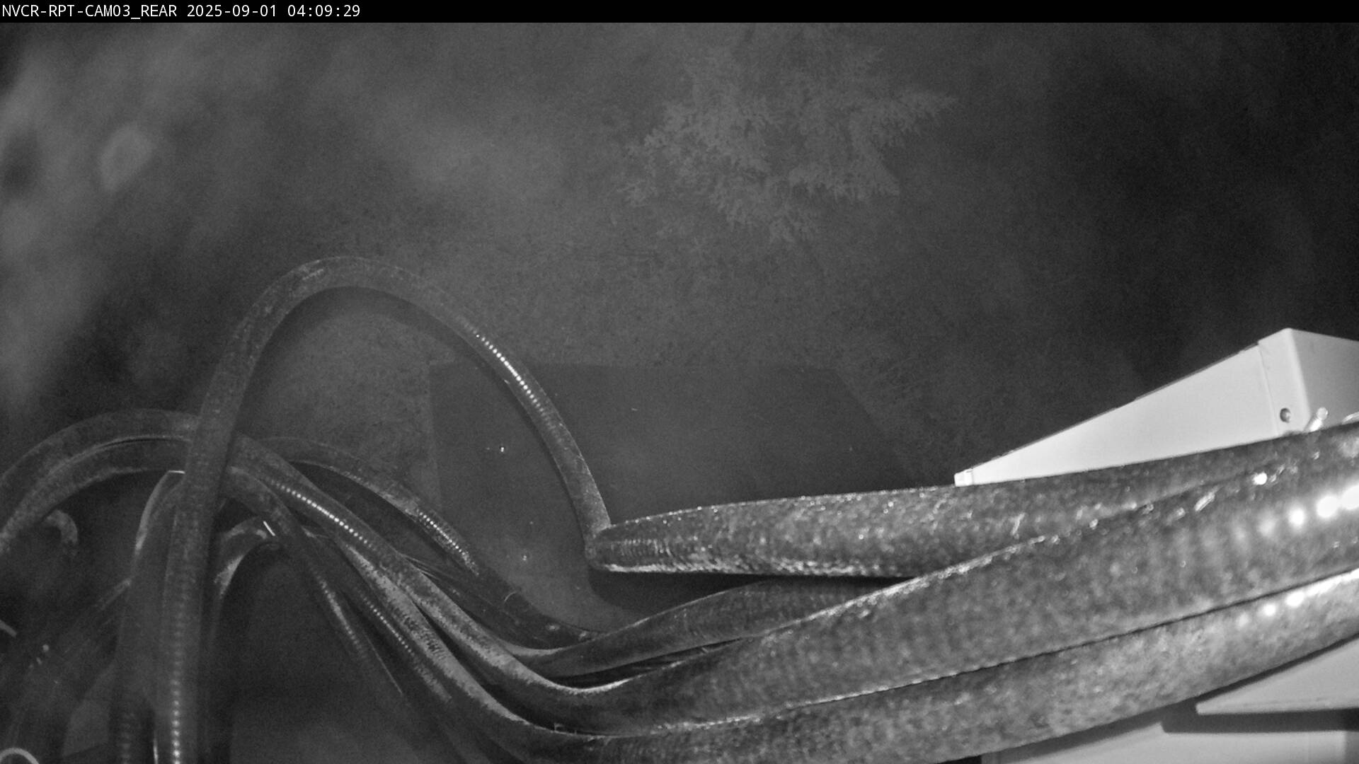 Web Cam History Image - 702