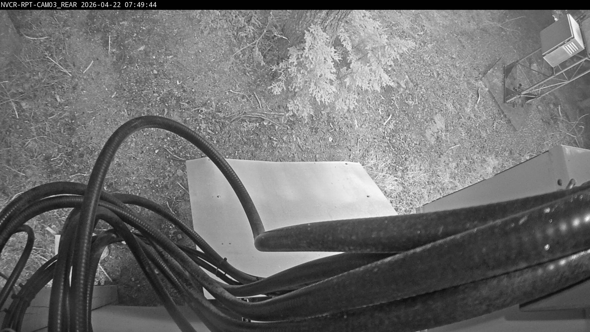 Web Cam History Image - 702