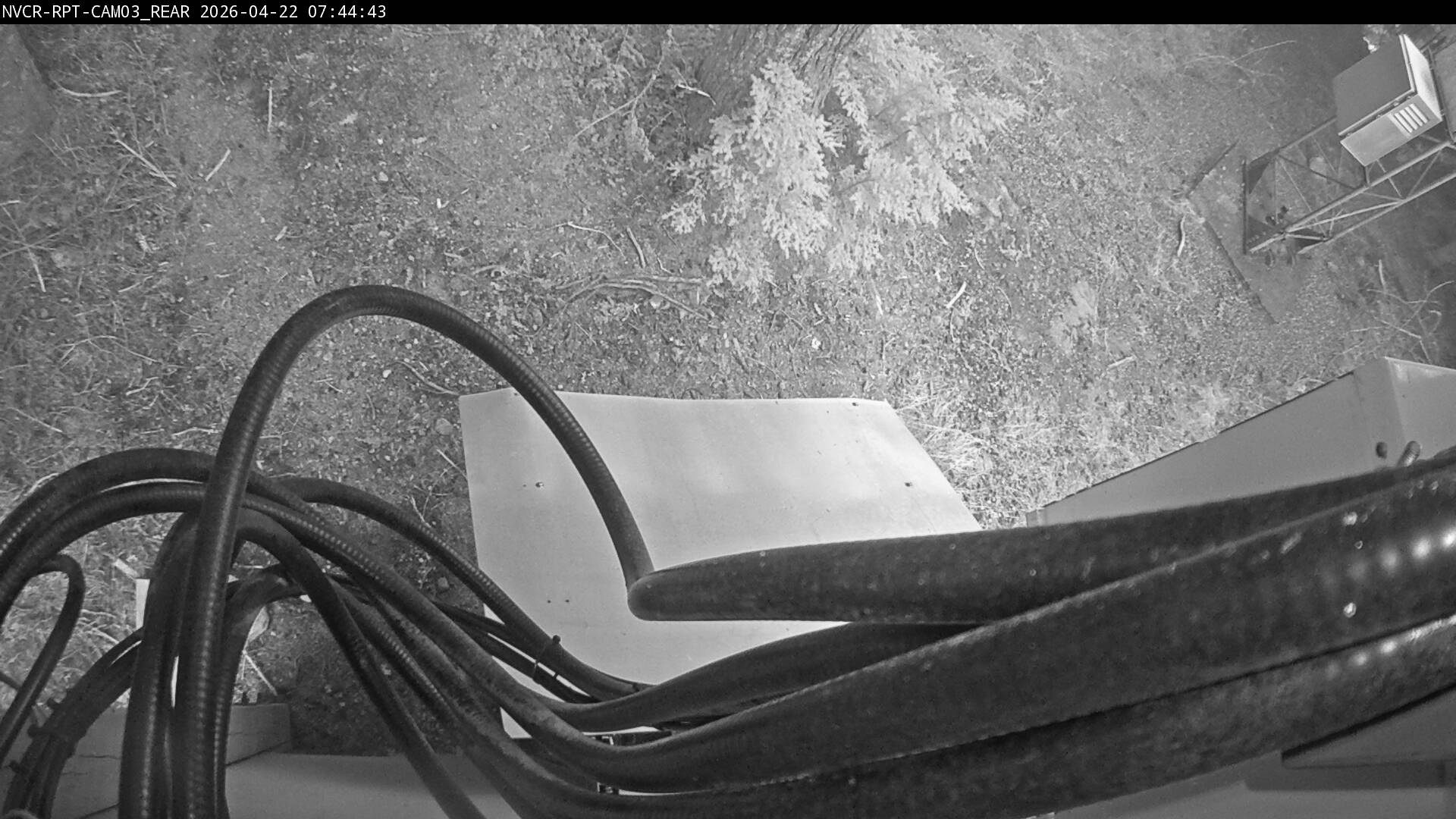 Web Cam History Image - 703