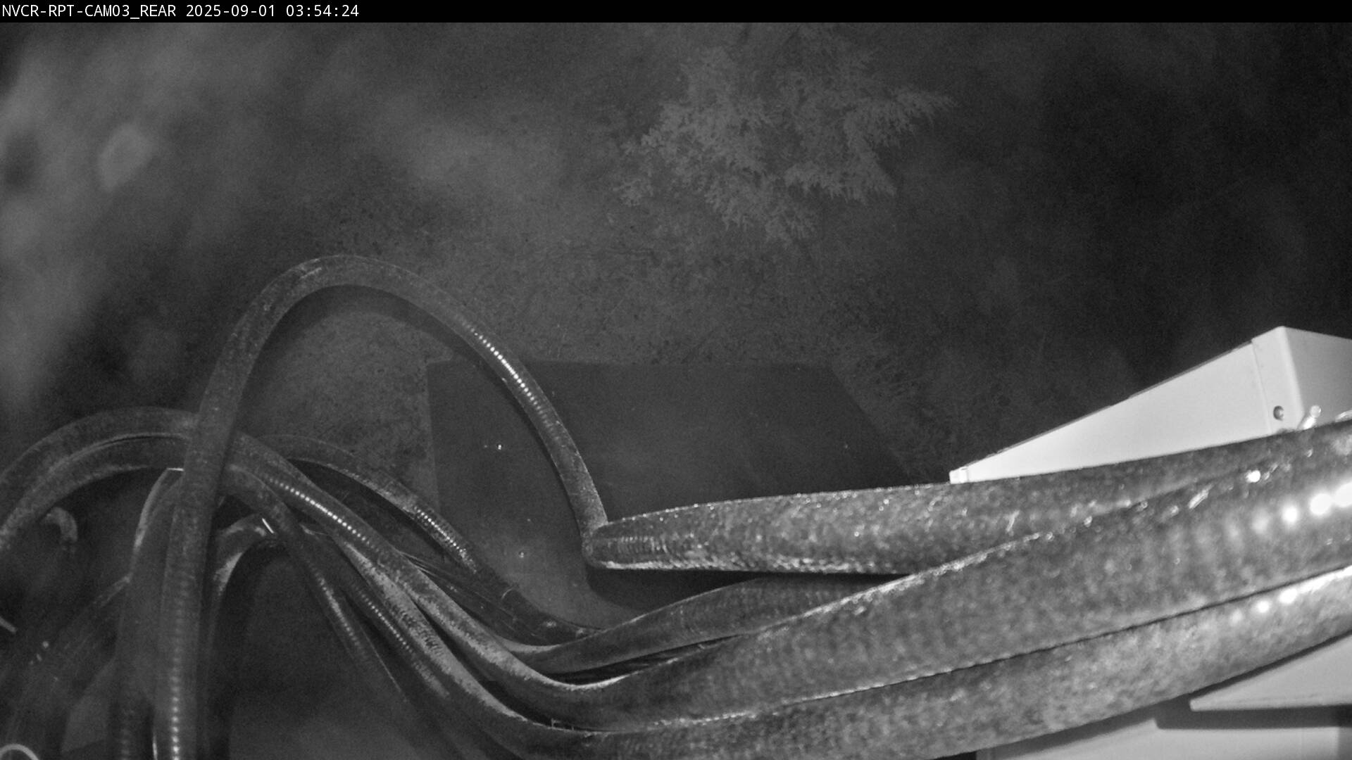Web Cam History Image - 706