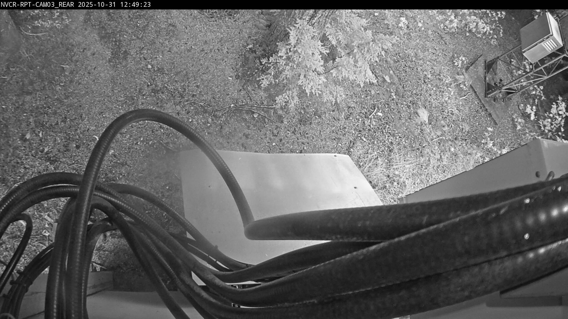 Web Cam History Image - 706