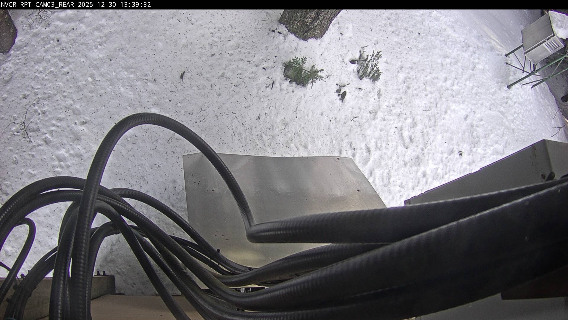 Web Cam History Image - 706