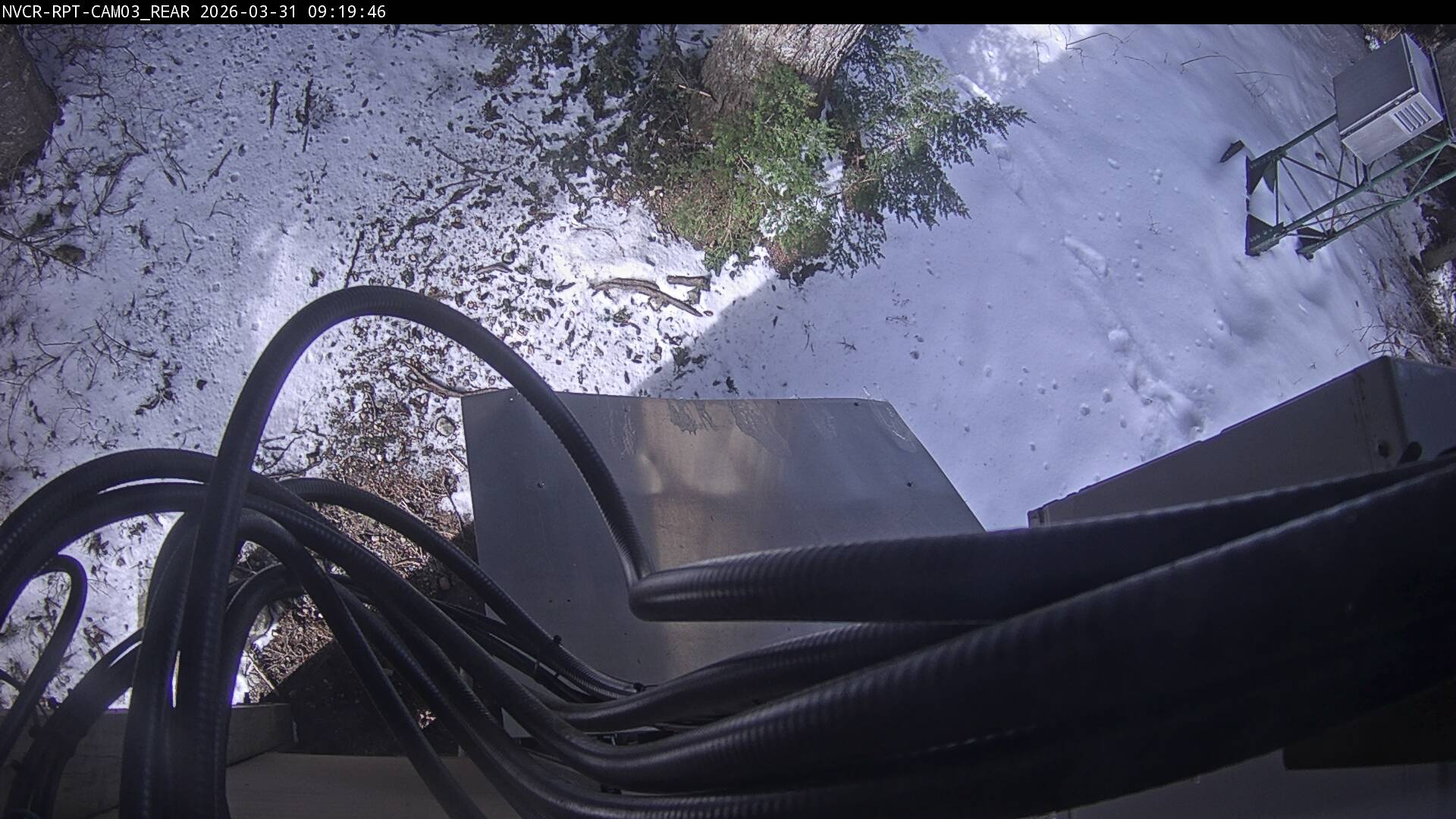 Web Cam History Image - 706