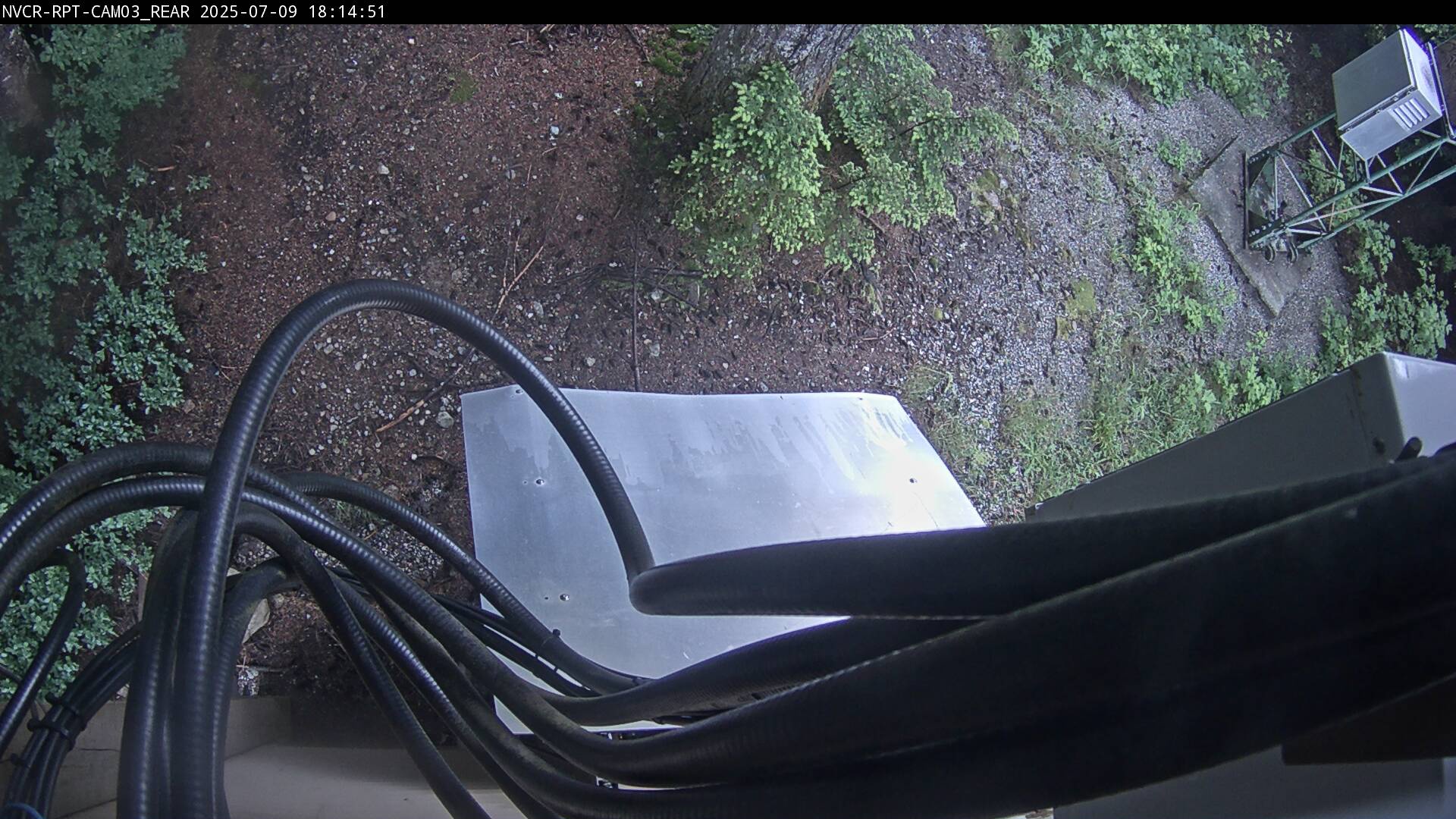 Web Cam History Image - 707