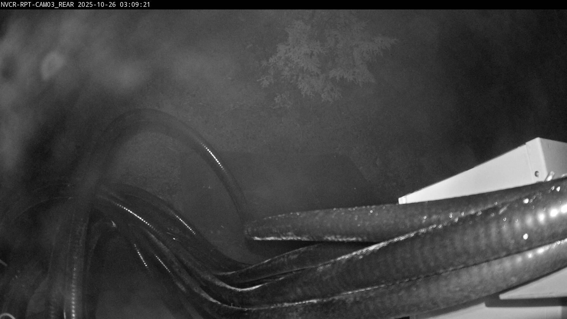 Web Cam History Image - 707