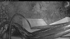 Web Cam Image - Sun, 05/17/2026 7:49pm PDT