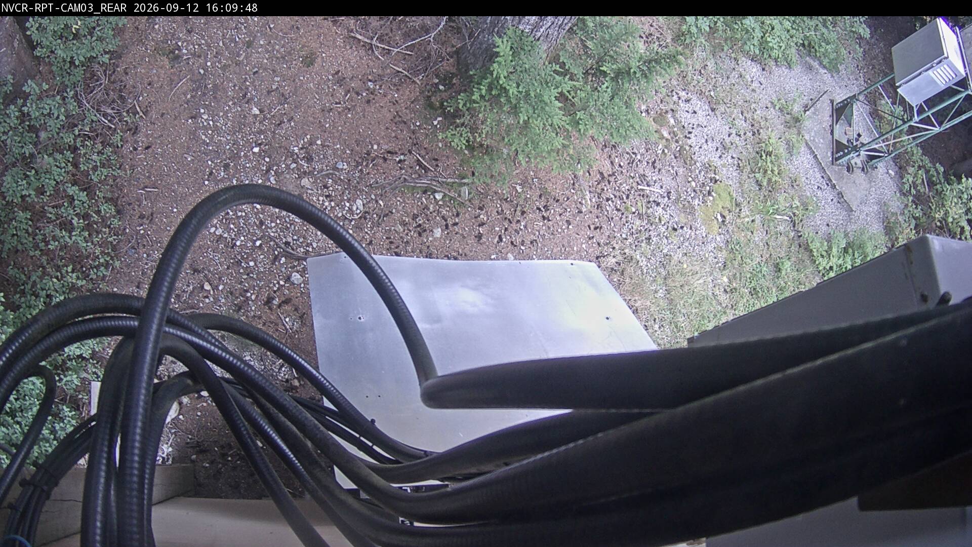 Web Cam History Image - 709