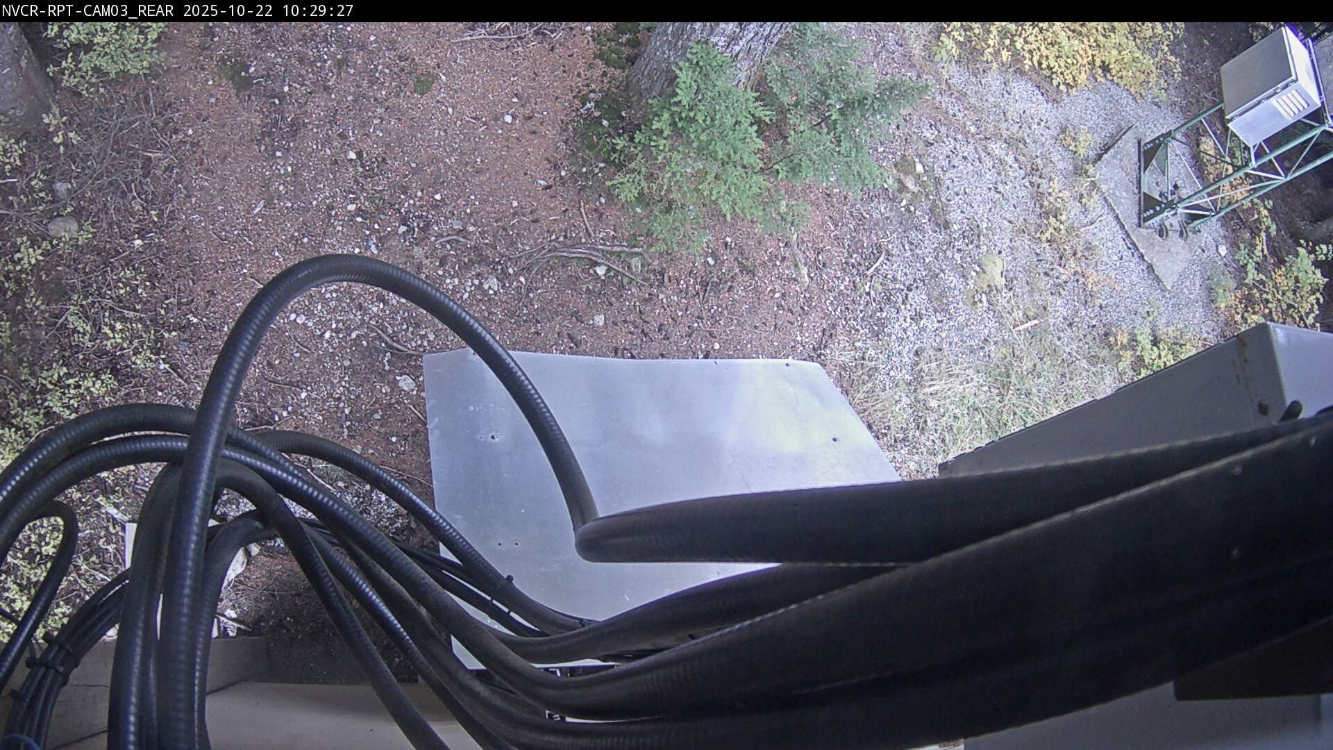 Web Cam History Image - 710