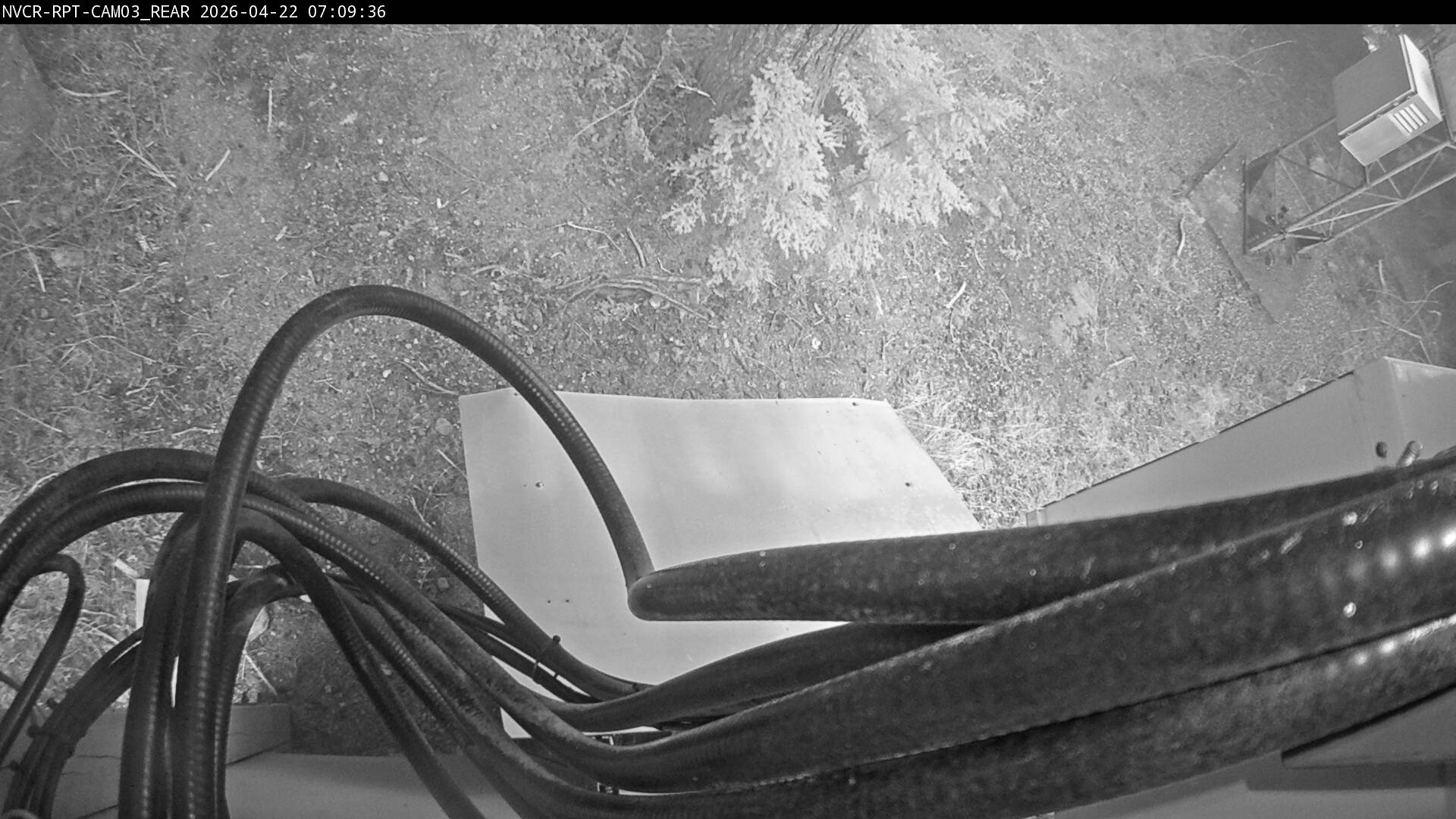 Web Cam History Image - 710