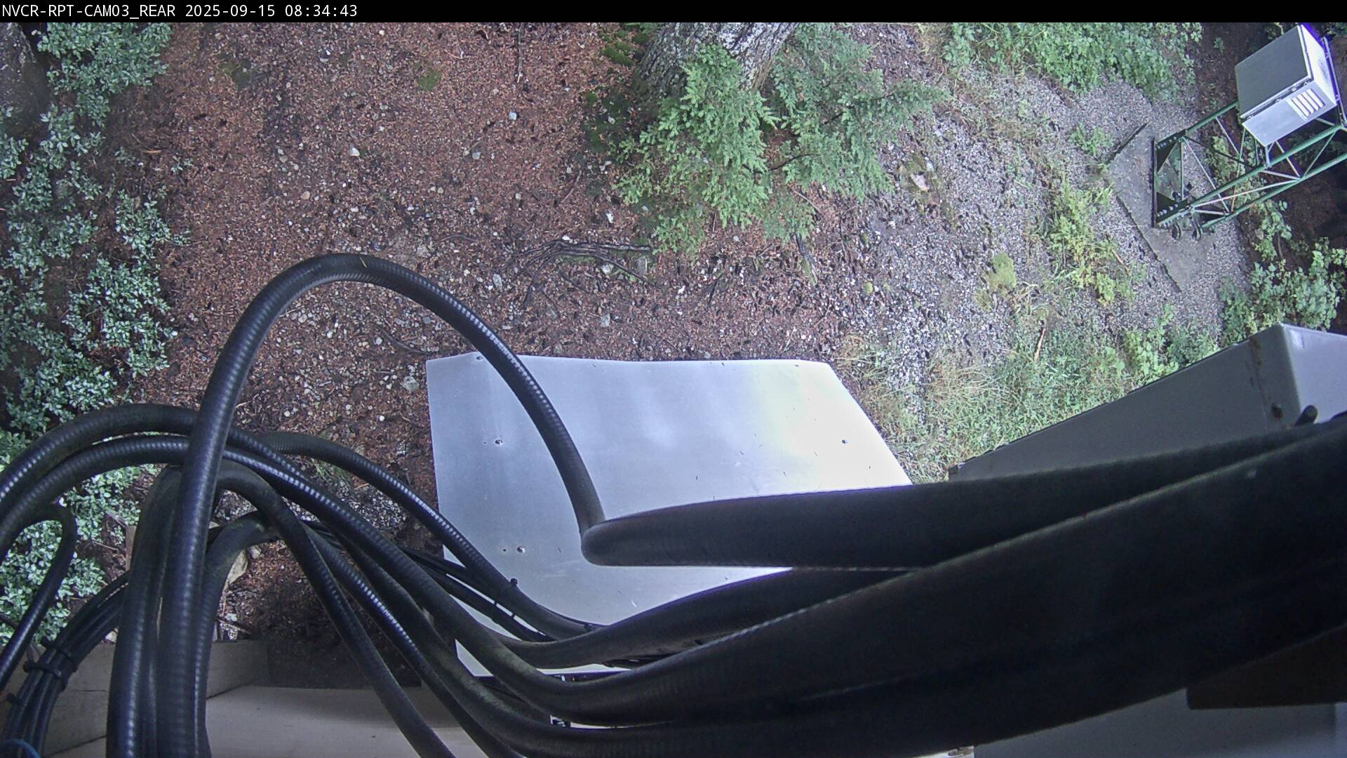 Web Cam History Image - 72