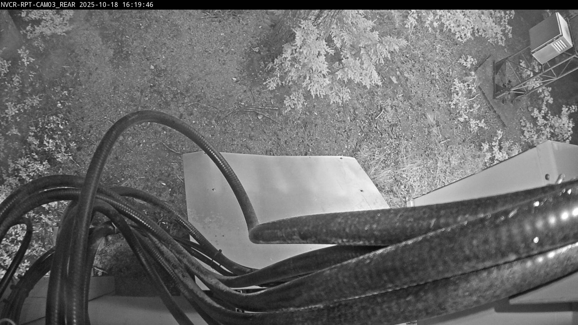 Web Cam History Image - 72