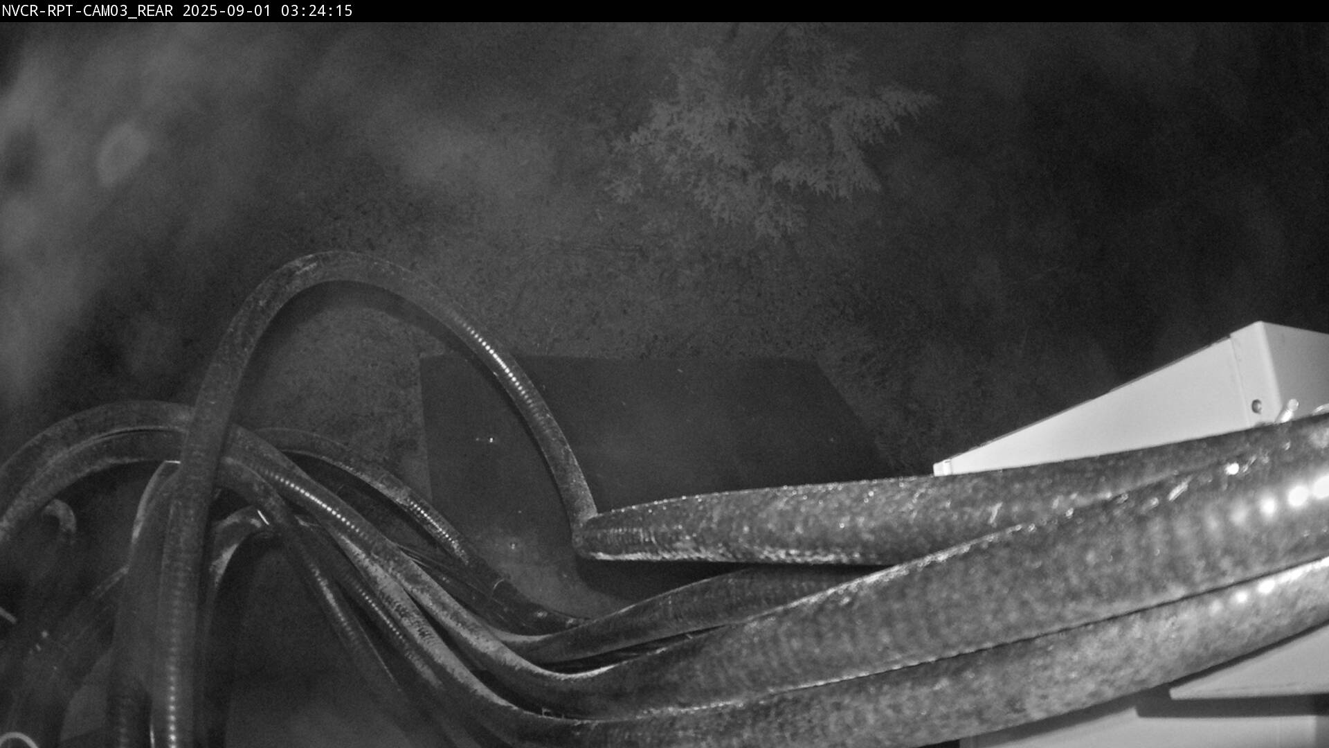 Web Cam History Image - 711