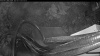 Web Cam Image - Thu, 05/14/2026 4:29am PDT