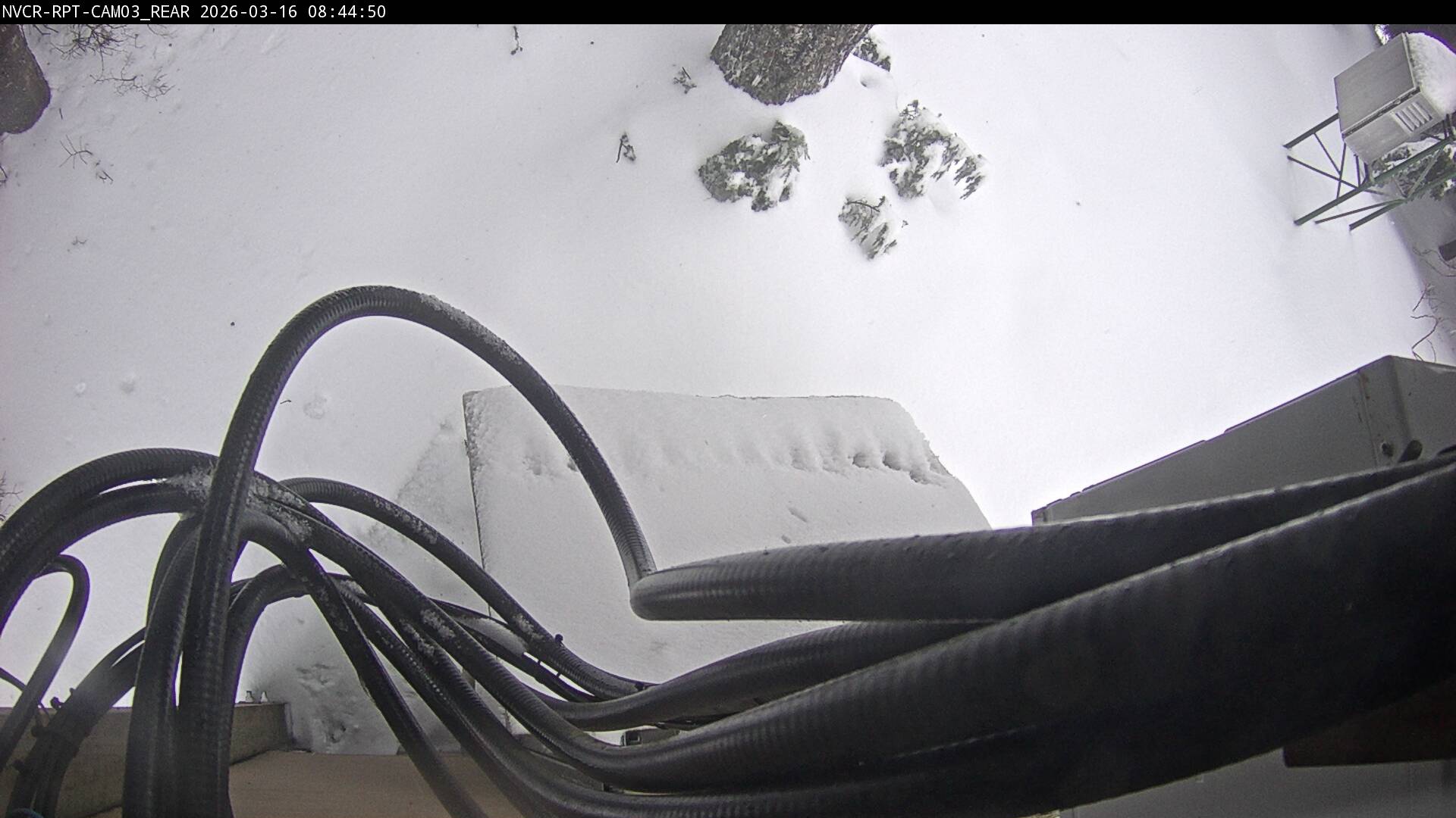 Web Cam History Image - 712