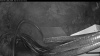 Web Cam Image - Fri, 05/29/2026 4:59am PDT