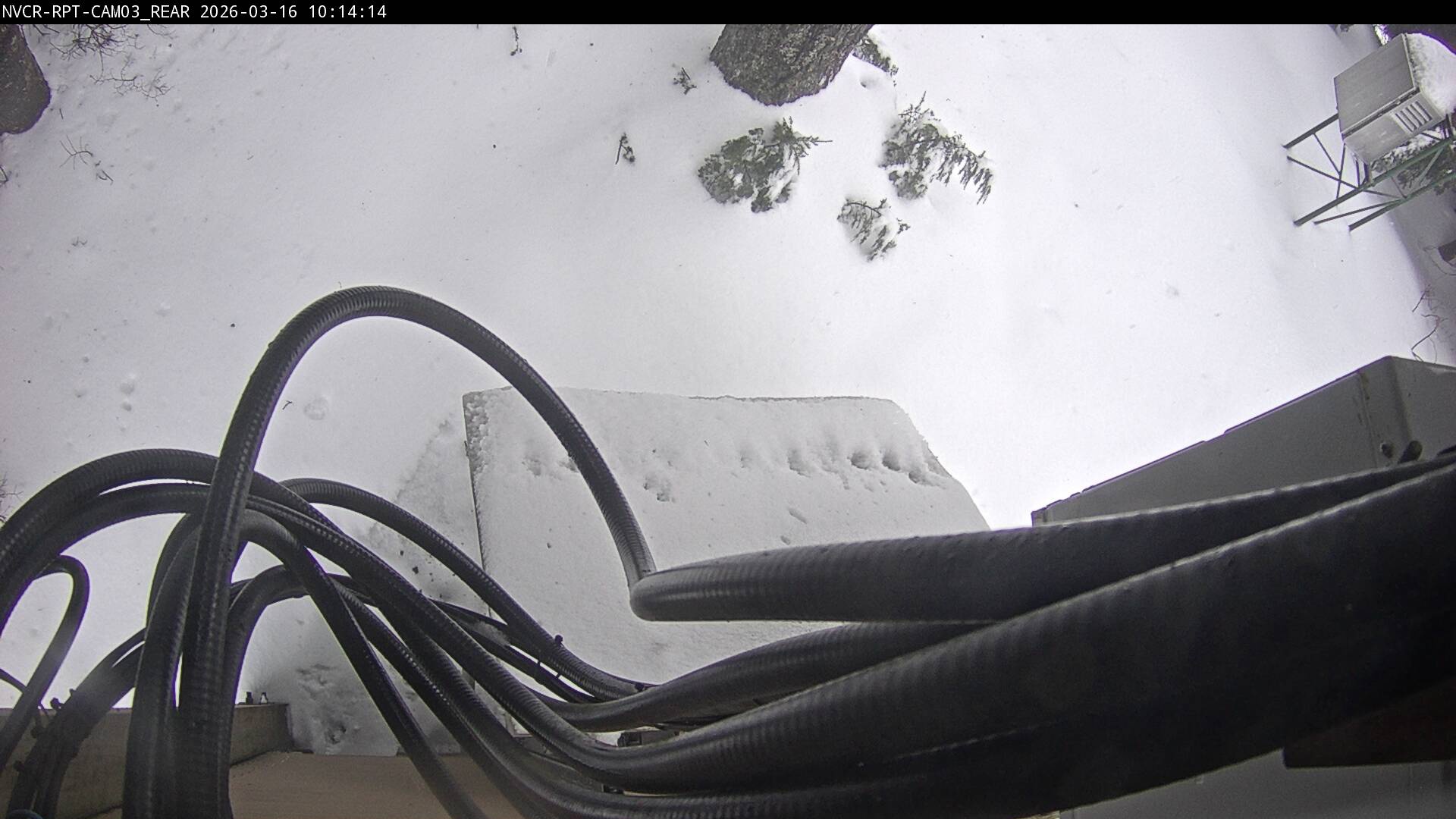 Web Cam History Image - 713