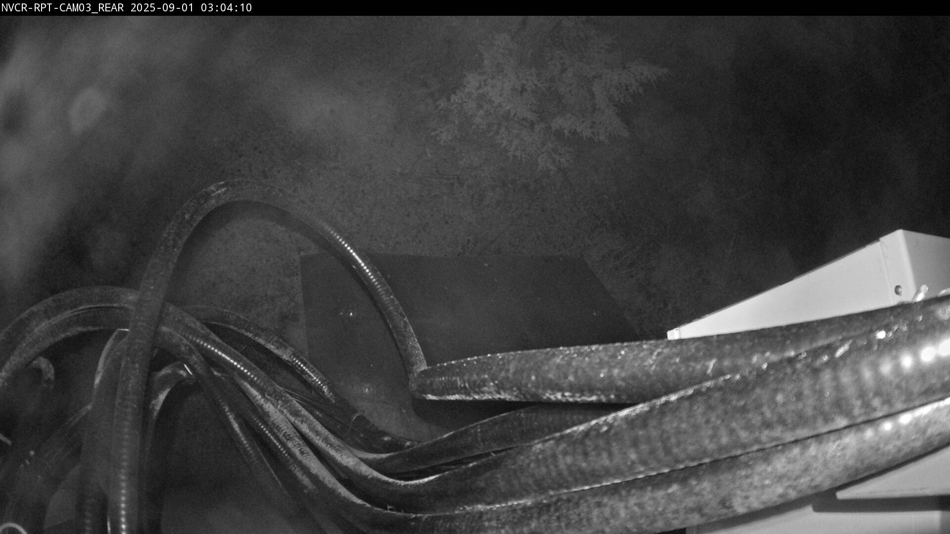 Web Cam History Image - 715