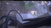 Web Cam Image - Sat, 05/02/2026 11:09am PDT