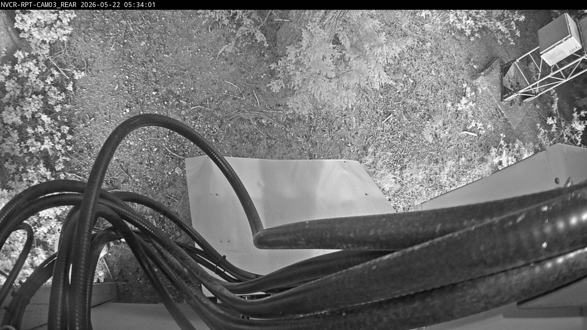 Web Cam History Image - 717