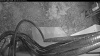 Web Cam Image - Sat, 05/02/2026 4:44am PDT