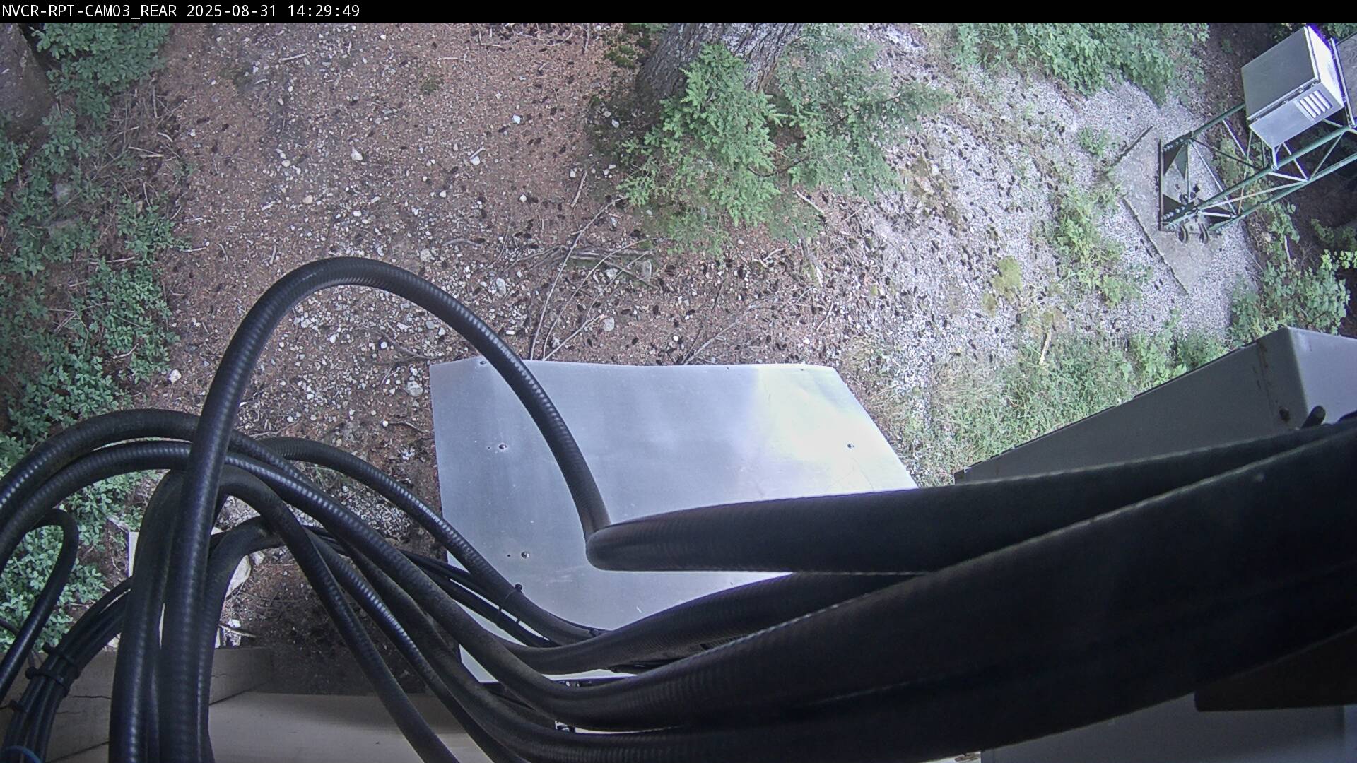 Web Cam History Image - 73