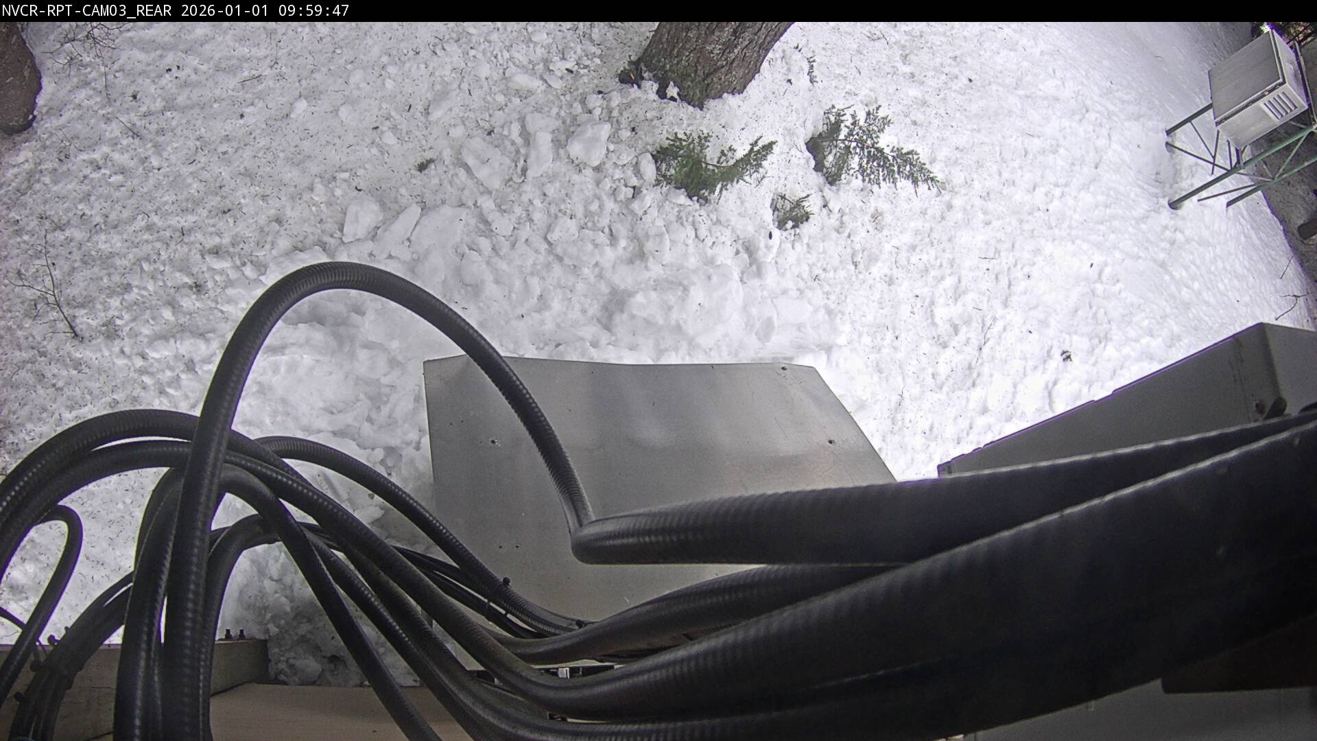 Web Cam History Image - 73