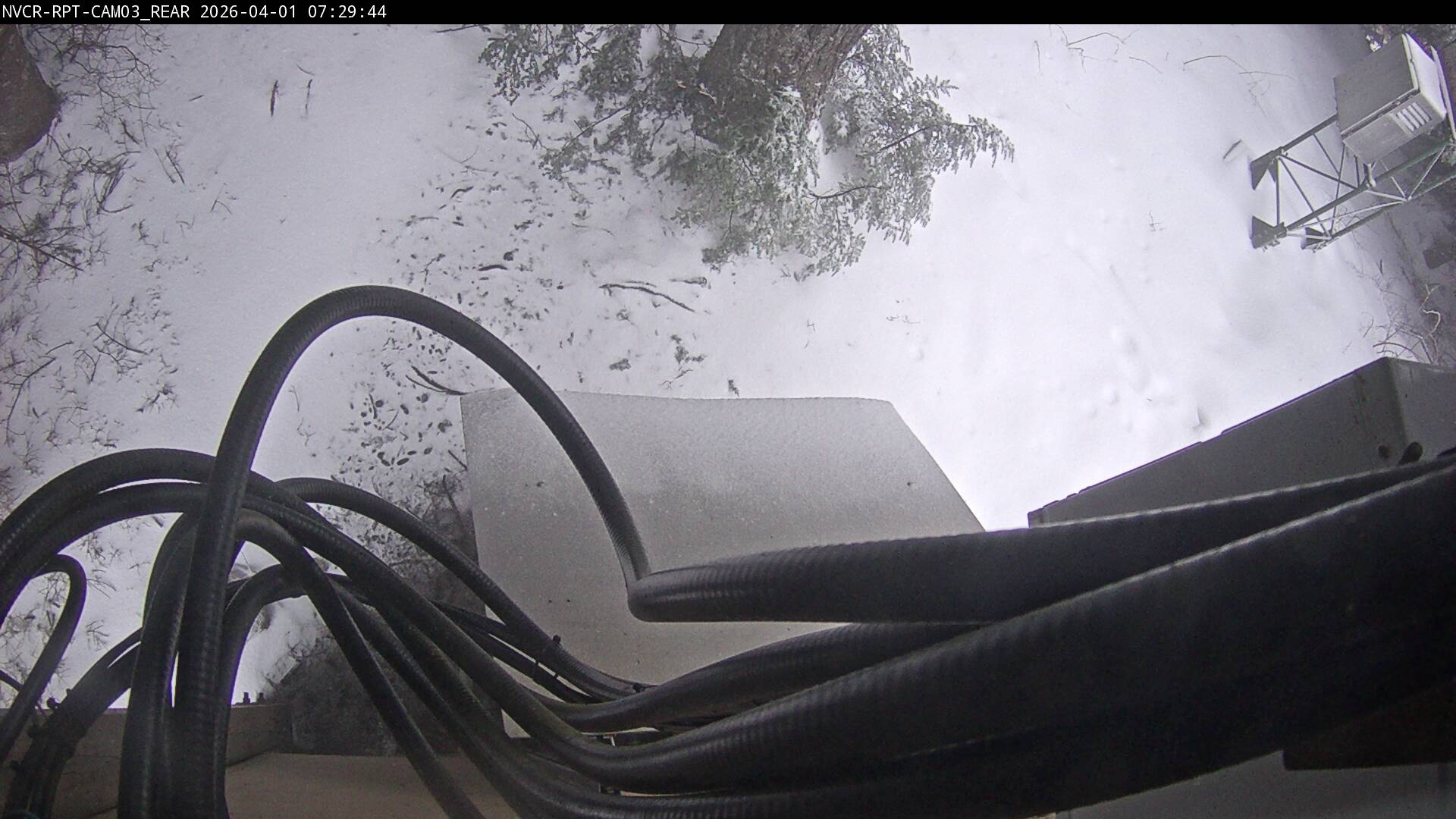 Web Cam History Image - 73