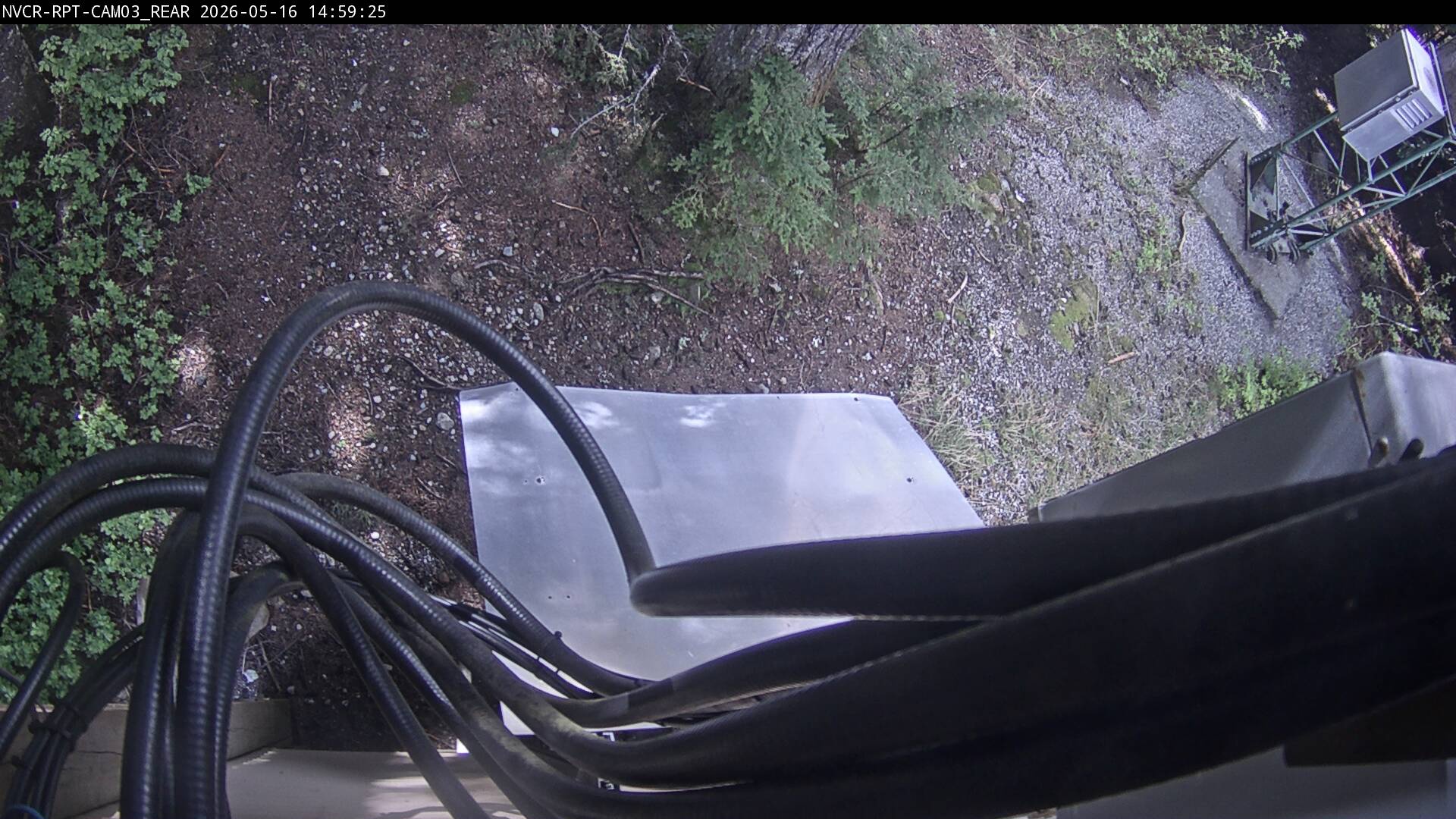 Web Cam History Image - 73