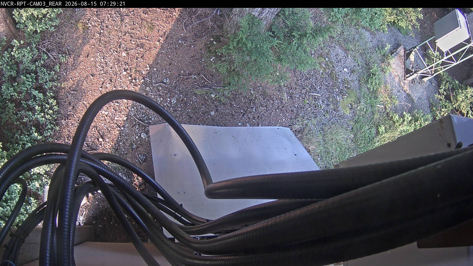 Web Cam History Image - 73
